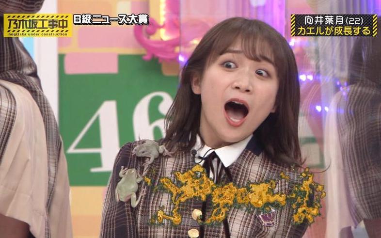 暖心礼物送给你！《乃木坂工事中》ep256带来最真实的乃木坂46，你值得拥有