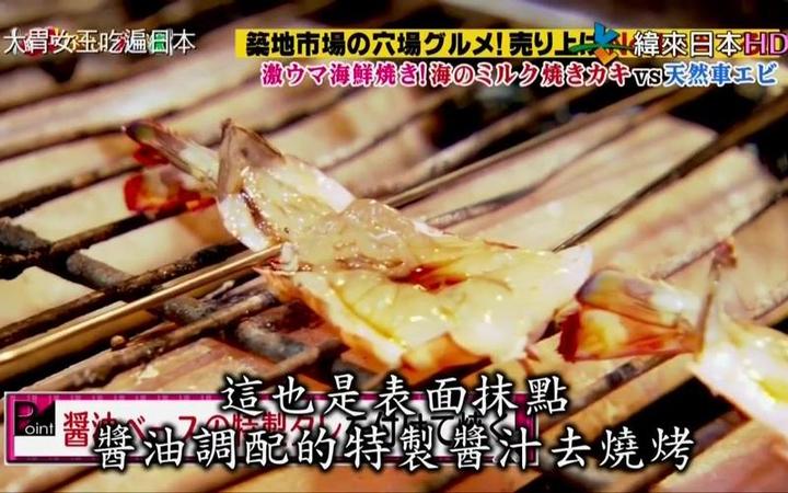 大揭秘：日本开放综艺节目在哪看更方便？多个观看平台对比