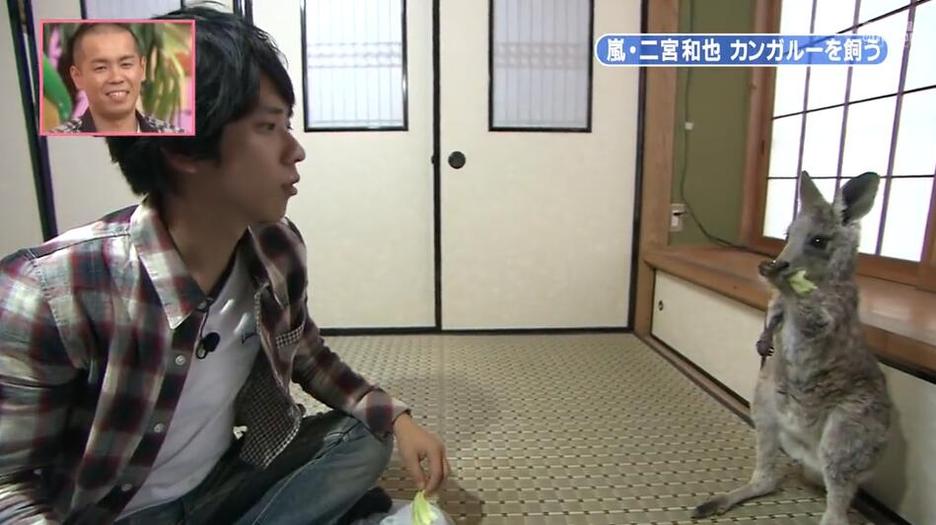 相亲综艺节目热播：北海道男的如何抓住冲绳女的芳心？